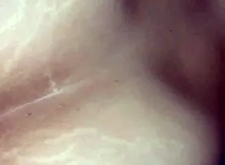 GF Gets Fucked Doggy with Monster Cock!