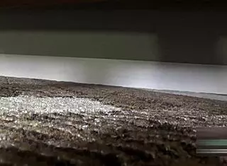 These hentai asian sluts are so horny!