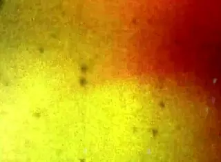 i watch bobs tgirls fuckin maris ass bareback, so hot