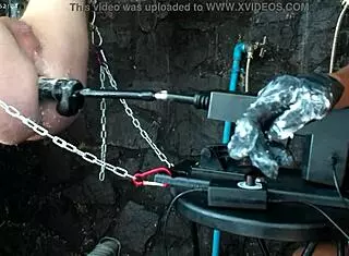 exploring the 26 11 bbd sex machine in anime hentai