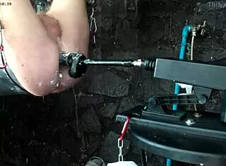 exploring the 26 11 bbd sex machine in anime hentai