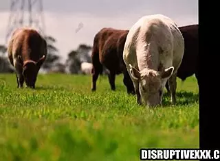 older milf with wet pussy goes hardcore