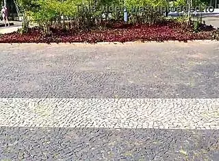 tourist meets beautiful clara lady snow in brazil for a fun date 😊