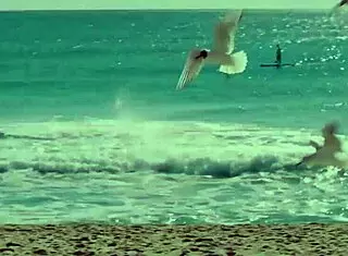 Yo, Ashley Dark gets pounded on balcony, so hot! 🔥