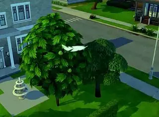 Sims 4 parody with shemale orgy 😏