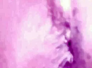 gay twink masturbates to ass to mouth and pissing 😏