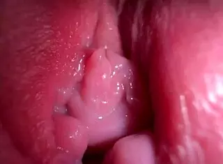 特写张开并脏话连篇