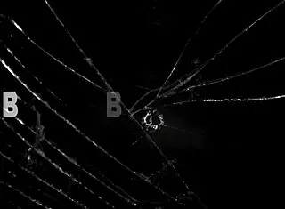 Aruban Chocolate Coco Da Goddess Bareback Passion