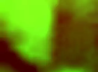 mexican wife plays with huge dildo alone