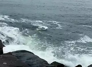 Wild orgy on the beach with friends before New Year's Eve