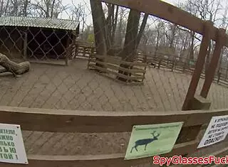 European Amateur Gets POV Assfucking In Doggystyle