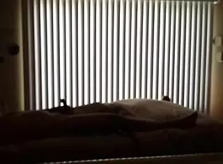 We were sneaking around the house, fucking my hot wife passionately.