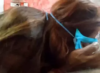 hey, check out this lovely blowjob by hot tania with her big tits and big cock! 😍