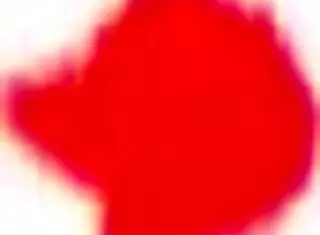 Home Sweet Home For Ass Licking By Beautiful Babe