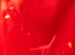 sexy belly dancer with brunette features teasing and dancing in indian asian style with erotic moves.