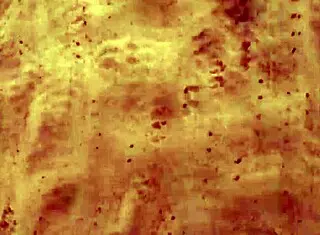 The big boy intensely tries to please with blowjob.