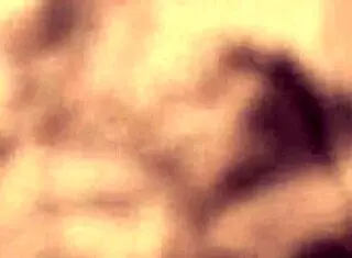 vintage erotic art unveils hidden desires