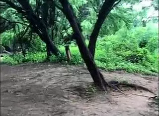 The big boy intensely tries to please with blowjob.