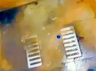 Pissing And Piss Drinking Indoor And Outdoor Compilation.