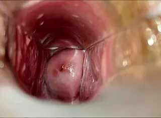 orgasmo vaginal in hentai anime with pussy