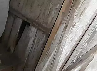 caught neighbor masturbating in street toilet, joined her for lesbian fun