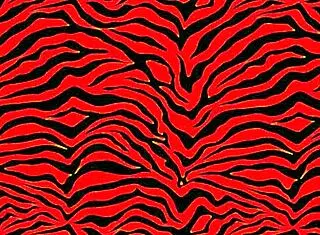 i watched this big booty battle between petite and big booty, and oh man, the petite one won with her sexy moves!