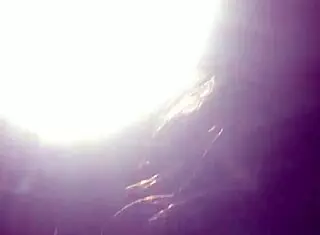 Best friends share a ride with some fun.