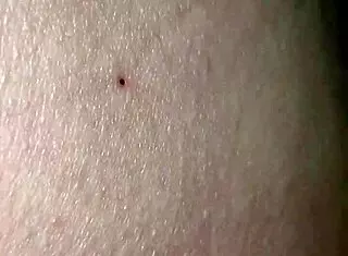 i love this hot orgy with naughty bears