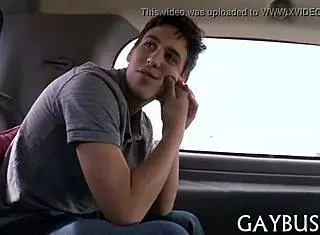 homosexual bear engages in intimate activities