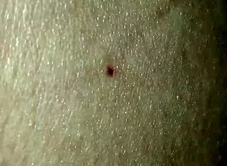 i love this hot orgy with naughty bears