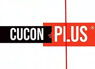 Sugar mommy indulges in naughty fun after Mardi Gras party