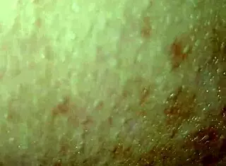 i love this hot orgy with naughty bears