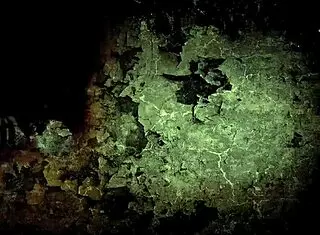 Vintage erotic drawings from comic antique retro hentai anime cartoon