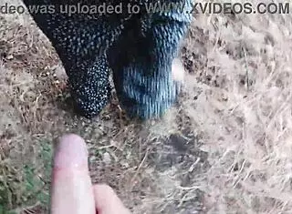 Risky Forest Fuck With Cute Girl And Hairy Pussy In 4K