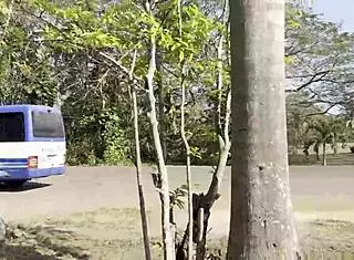 shameless monika fox flashes naked tits while pissing outdoors under a tree.