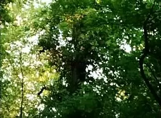 yo, watch this french slut get slapped and humiliated in the forest.