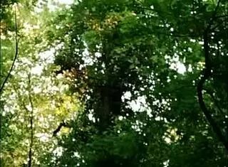 yo, watch this french slut get slapped and humiliated in the forest.