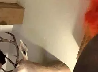 Missionary Sex In Hotel Room