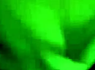 guerita gordibuena, do you love sucking until you get my cum in your mouth?