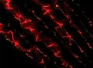 Marica Hase Masturbates with Vibrator