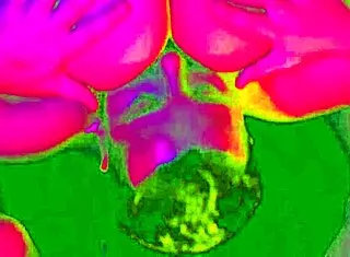 Hey, Wanna Try Foot Play with My BBW Girlfriend?