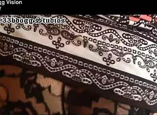 和C33bdogg品尝政治的最佳方式