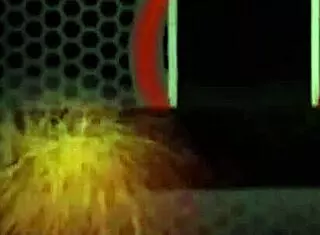 Blonde Holly Heart shows her big pussy and ass in lingerie