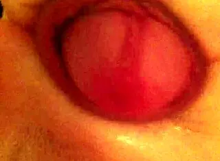 I'm wanking in the toilet right now