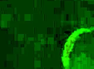 Ale de la Savio in raw homemade action