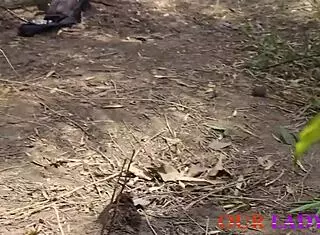 Japanese mature wife cheats with bushy pussy in pov