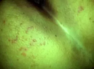 Hey, this curvy teen is worshiping feet and scissoring with her stepmom in a wild session!