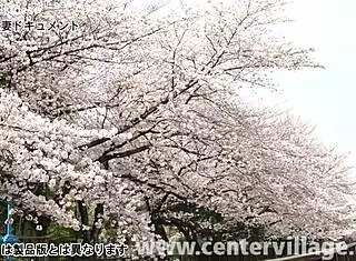 Asian wife Mio Inoue bends over for raw doggystyle in amateur documentary footage.