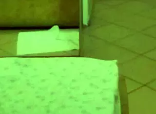 In 2008, two brunette students moan during hardcore sex and cumshot on big ass