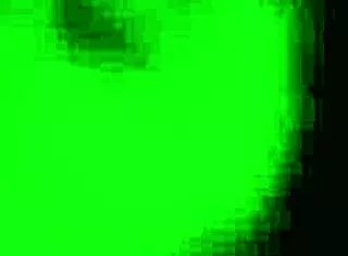 explore top 5 whiteboxxx latina babes in steamy compilation with catherine knight and more